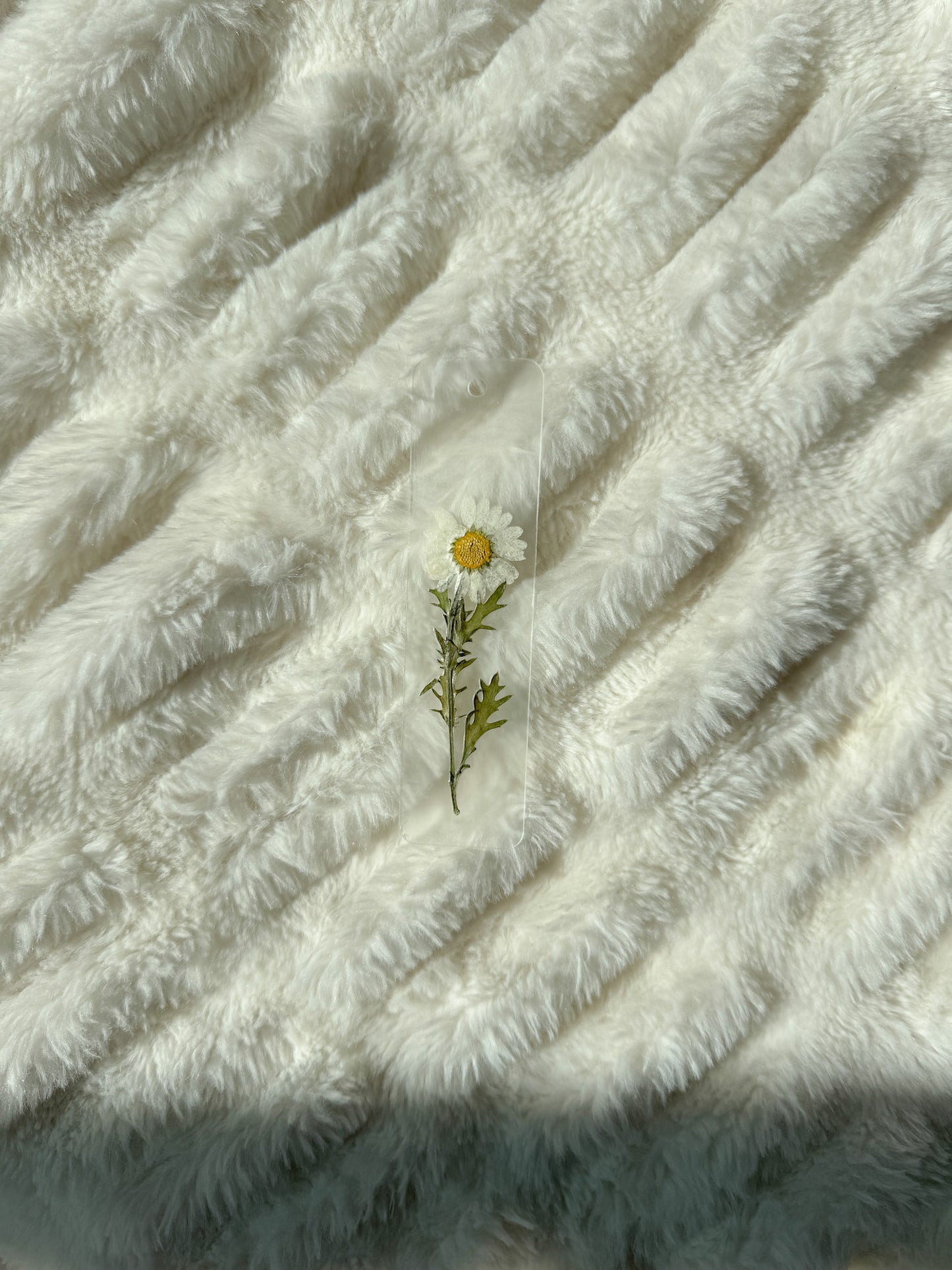 Daisy Pressed Flower Acrylic Bookmark