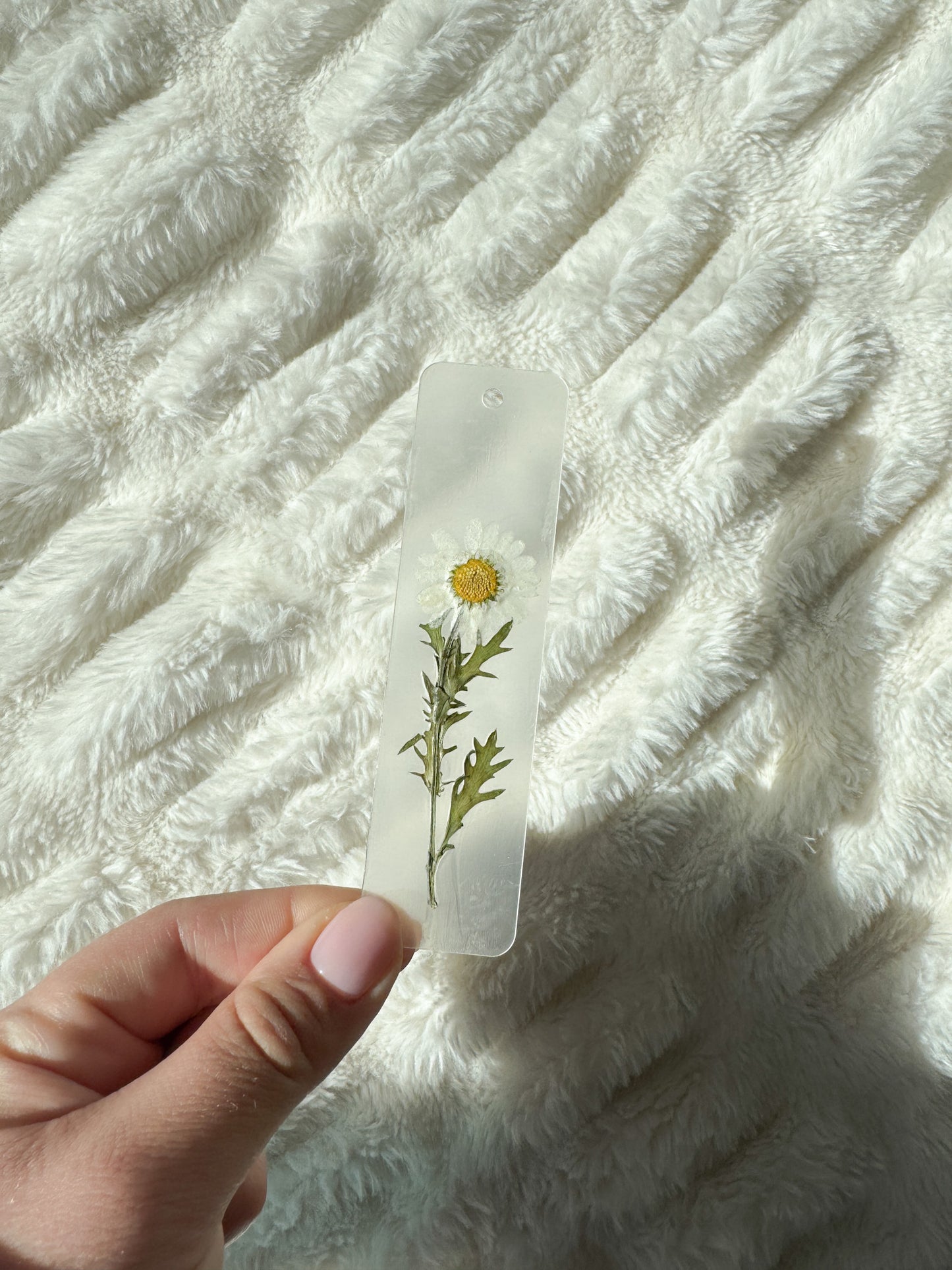 Daisy Pressed Flower Acrylic Bookmark