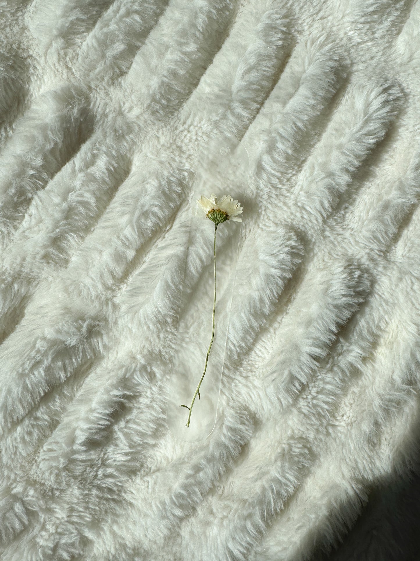 Petals Pressed Flower Acrylic Bookmark