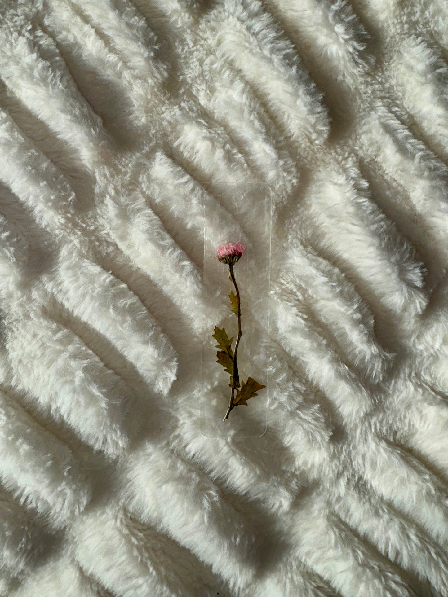 Talia Pressed Flower Acrylic Bookmark